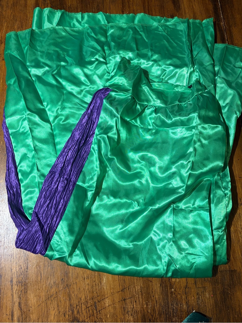 Hocus Pocus Winnifred Costume - Picture 2 of 6